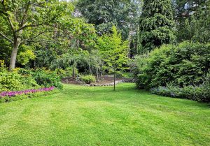 Optimiser l'expérience du jardin à Ouvrouer-les-Champs